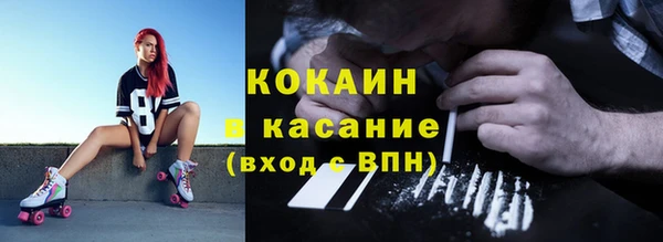 ПСИЛОЦИБИНОВЫЕ ГРИБЫ Карпинск