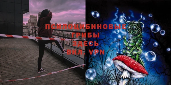 ПСИЛОЦИБИНОВЫЕ ГРИБЫ Карпинск