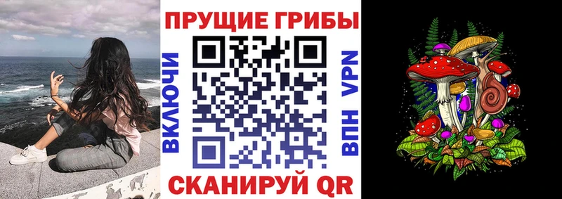 Псилоцибиновые грибы Psilocybe  Купить  Жуков 