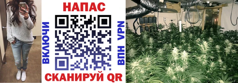 Купить закладки  Жуков  Бошки марихуана Amnesia 